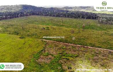 Imagem 3: FAZENDA 171 ALQUEIRES 90 ALQUEIRES EM PASTO JACI PARANÁ/RONDÔNIA