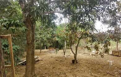 Imagem 5: Vendo / Troco. Piscinae13.000m² de Área