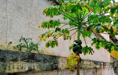 Imagem 13: APARTAMENTO RESIDENCIAL em SALVADOR - BA, FEDERAÇÃO