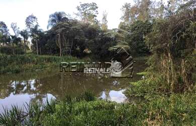 Imagem 15: Sítio com 2 dormitórios à venda, 69699 m² por R$ 1.000.000,00 - Bragança...