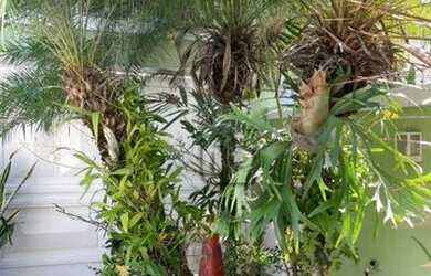 Imagem 11: Casa com 4 dormitórios à venda, 280 m² por R$ 2.600.000 - Recreio dos...