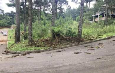 Imagem 9: Terreno - Bairro Dutra. 540m² de Área