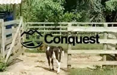 Imagem 8: Linda Fazenda Mista, 12 hectares totalmente aproveitados e produtivos,...