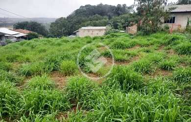 Imagem 3: Terreno em Lindoeste codigo 136144