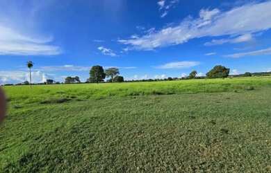 Imagem 10: Fazenda a venda, em Mundo Novo - Goiás
