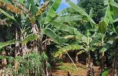 Imagem 7: Chácara Bela Vista Chácara à Venda, 20851.00 por R$ 699900.00 TA34776