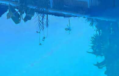 Imagem 2: TEMPORADA PRAIA GUARUJÁ CASA EM CONDOMÍNIO PERTINHO PRAIA