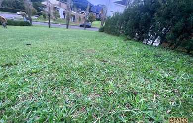 Imagem 6: Terreno em Condomínio Alphaville
