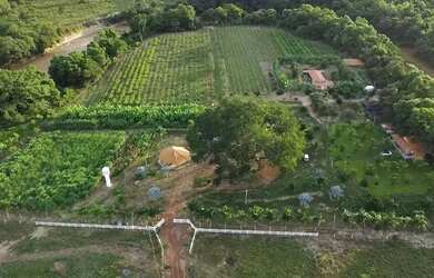 Imagem 8: OPORTUNIDADE ÚNICA BELÍSSIMA FAZENDA À VENDA EM BURITIS-MG