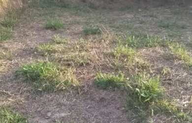 Imagem 2: Pra vender urgente terreno em Nazaré pta