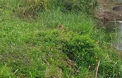 Imagem: A chácara possui 1.600m² de Área e está localizado em Jardim