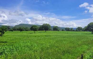 Imagem 4: Fagenda a Venda. 1.541m² de Área