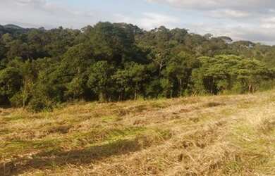 Imagem 13: Lote/Terreno para venda tem 1000 metros quadrados em Centro - Nazaré...