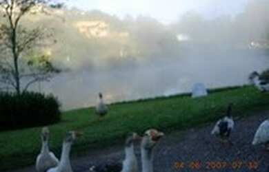 Imagem 8: Terreno Capital Ville I. Piscinae1.300m² de Área