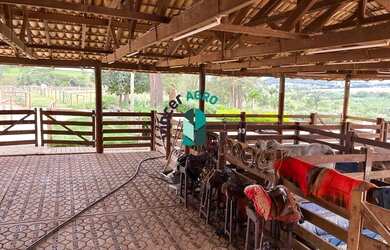 Imagem 10: Fazenda em Avelinópolis. Piscina, Churrasqueira, Ar-condicionadoe181m²...