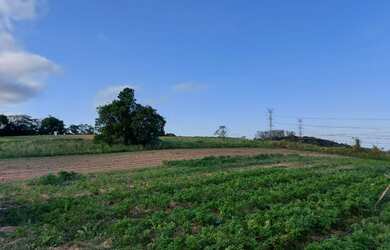 Imagem 15: Lote/Terreno para venda com 600 metros quadrados em Centro São João...