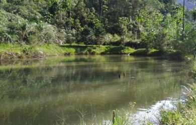 Imagem 9: Área Rural para Venda em Nova Trento / SC no bairro Serravel