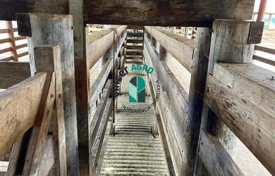 Imagem 14: Fazenda em Avelinópolis. Piscina, Churrasqueira, Ar-condicionadoe181m²...