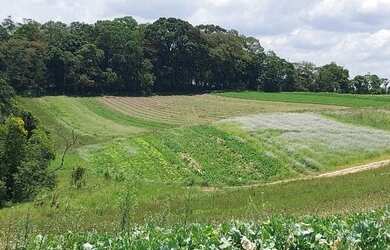 Imagem 16: Lote/Terreno para venda com 600 metros quadrados em Jardim Helena - Carapicuíba...