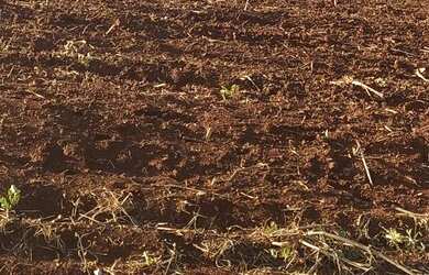 Imagem: O terreno possui 270m² de Área, Imóvel novo e está localizado