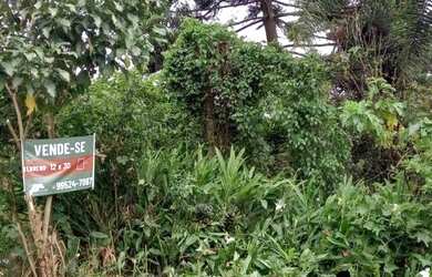 Imagem 4: Terreno para Venda em Almirante Tamandaré, CINTIA MARA