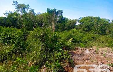 Imagem 13: Terreno | Balneário Barra do Sul