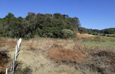 Imagem 3: Chácara Almirante Tamandaré Juruqui 5,5Km Santa Felicidade 23.000m²...