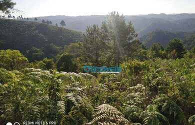 Imagem 2: Área à venda, 605000 m² por R$ 450.000,00 - Zona Rural - Itaperuçu/PR