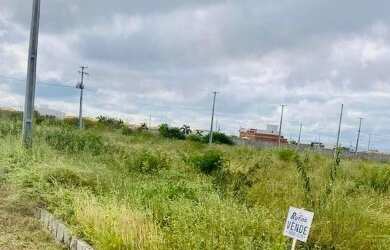 Imagem: O terreno está localizado em Cohab São Francisco, Petrolina