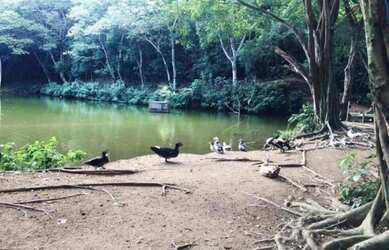 Imagem 1: Alugo Casa de alto padrão no Condomínio Lírios do Campo 4 no Sapê