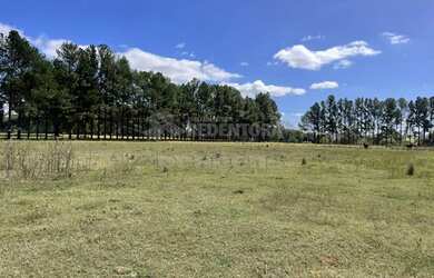 Imagem 3: São José do Rio Preto - Terreno Padrão - Estância Santa Inês Zona...