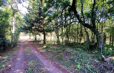Imagem: A fazenda possui 1.100m² de Área e está localizado em Fazenda