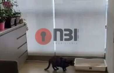 Imagem 6: SAO JOSE DO RIO PRETO - Residential / Apartment - ALTO RIO PRETO