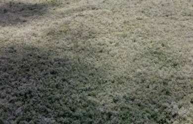 Imagem: A fazenda possui 68m² de Área e está localizado em Jeremoabo