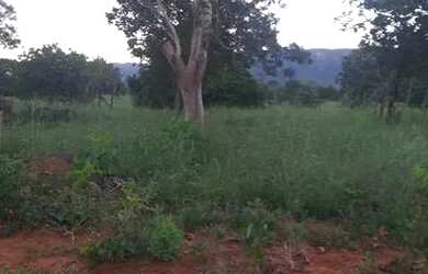 Imagem: A fazenda possui 194.000m² de Área e está localizado em