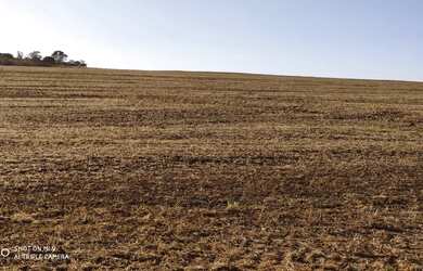 Imagem 9: R$150 Milhões Fazenda de 405 alqueires em Campo Alegre-GO