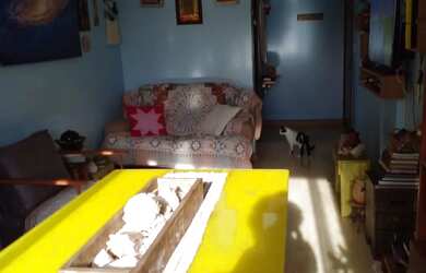 Imagem 4: Excelente apartamento 70m, no Salvador Dali 2 quartos e 1 suíte. Apenas,...