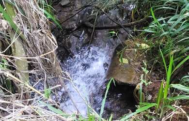 Imagem 4: Chacara, área de terra, sítio em Cafelândia