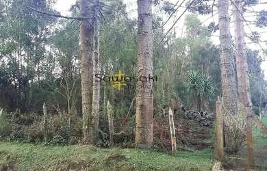 Imagem: O terreno possui 1.000m² de Área e está localizado em Contenda