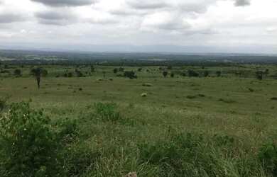 Imagem 2: FAZENDA EM NOVA REDENÇÃO - 1400 TAREFAS
