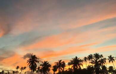 Imagem 15: Aluguel por Temporada - Apartamento Mobiliado pé na areia Praia do Francês