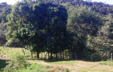 Imagem 14: Fazenda para Venda em Senador Mourão Diamantina , Diamantina