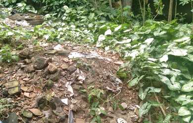 Imagem 2: Vendo casa Casa com 1 dormitório