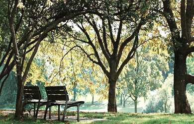 Imagem 5: Lote/Terreno para venda possui 501 metros quadrados em Jardins Barcelona...