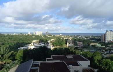 Imagem 14: Oportunidade no Greenville