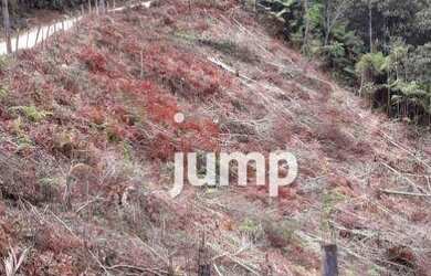 Imagem 5: Terreno à venda, 20060 m² por R$ 550.000,00 - Santa Tereza - São Pedro...