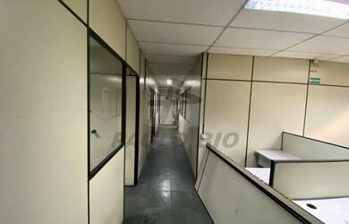 Imagem 13: SAO PAULO - Galpão/Depósito/Armazém - Vila Leopoldina