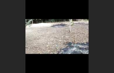 Imagem 1: Vendo ou troco lindo terreno