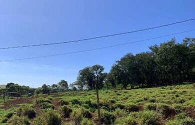 Imagem 4: Terreno Rural em Marialva