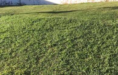 Imagem: O terreno possui 150m² de Área e está localizado em Portal